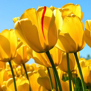 Meet your Posher, Beth